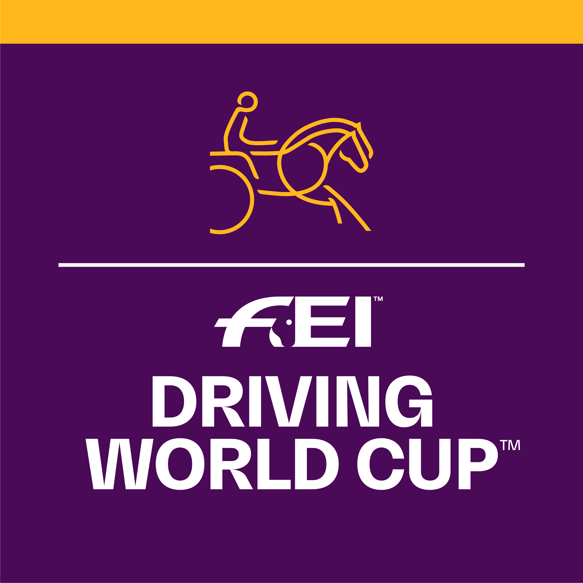 FEI Driving World Cup™ Head2Tail